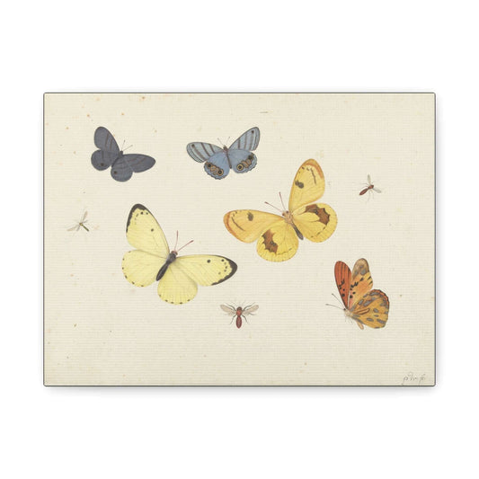 'Butterflies' Matte Canvas, Stretched, 9 x 12 inches Depth: 1.25" (Unframed - Ready to hang) Africa Blooms Canvas mug Fjarils Fjarils Home page mug