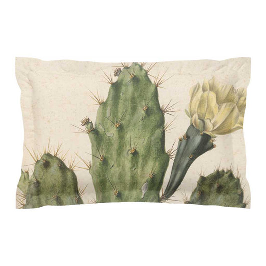 'Cactus Flower' Microfiber Pillow Sham 20 '' x 30'' with 2'' Flange - Free Shipping in Canada Africa Blooms Pillow Sham mug Fjarils Fjarils Home page mug
