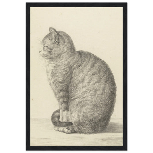‘Sitting Kitty’ Poster - Premium Matte Paper 12 x 18 inches (Black Wooden Framed)