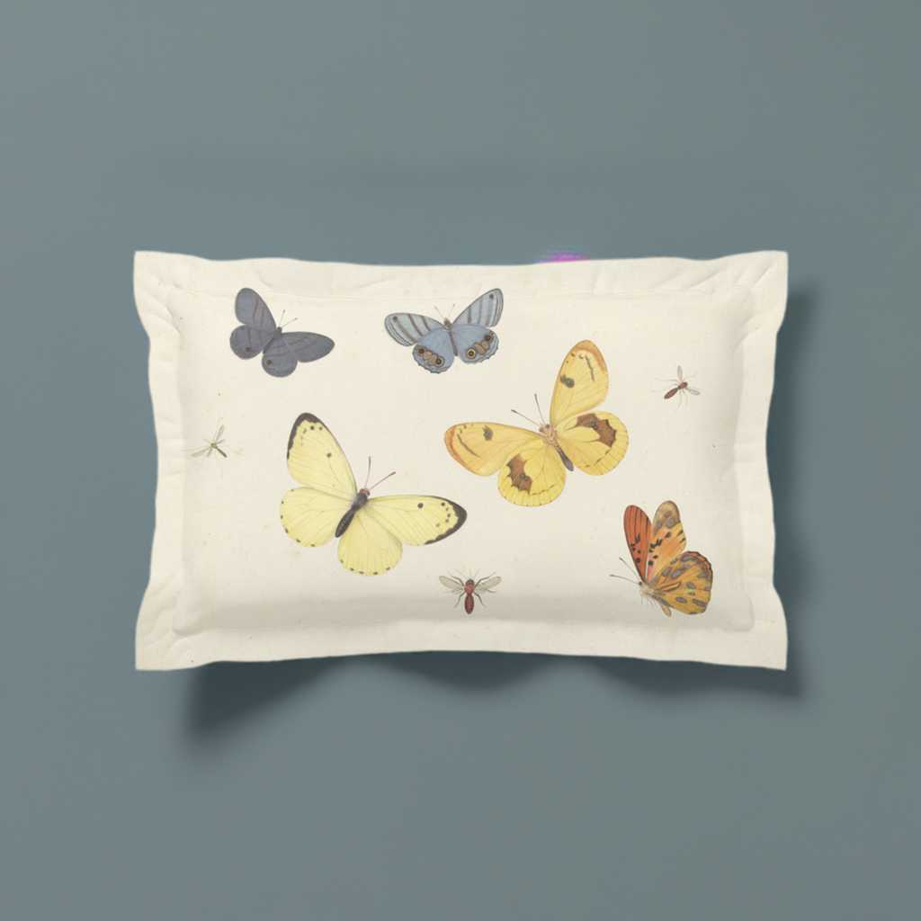 'Butterflies' Microfiber Pillow Sham 20 '' x 30'' with 2'' Flange - Free Shipping in Canada Africa Blooms Pillow Sham mug Fjarils Fjarils Home page mug